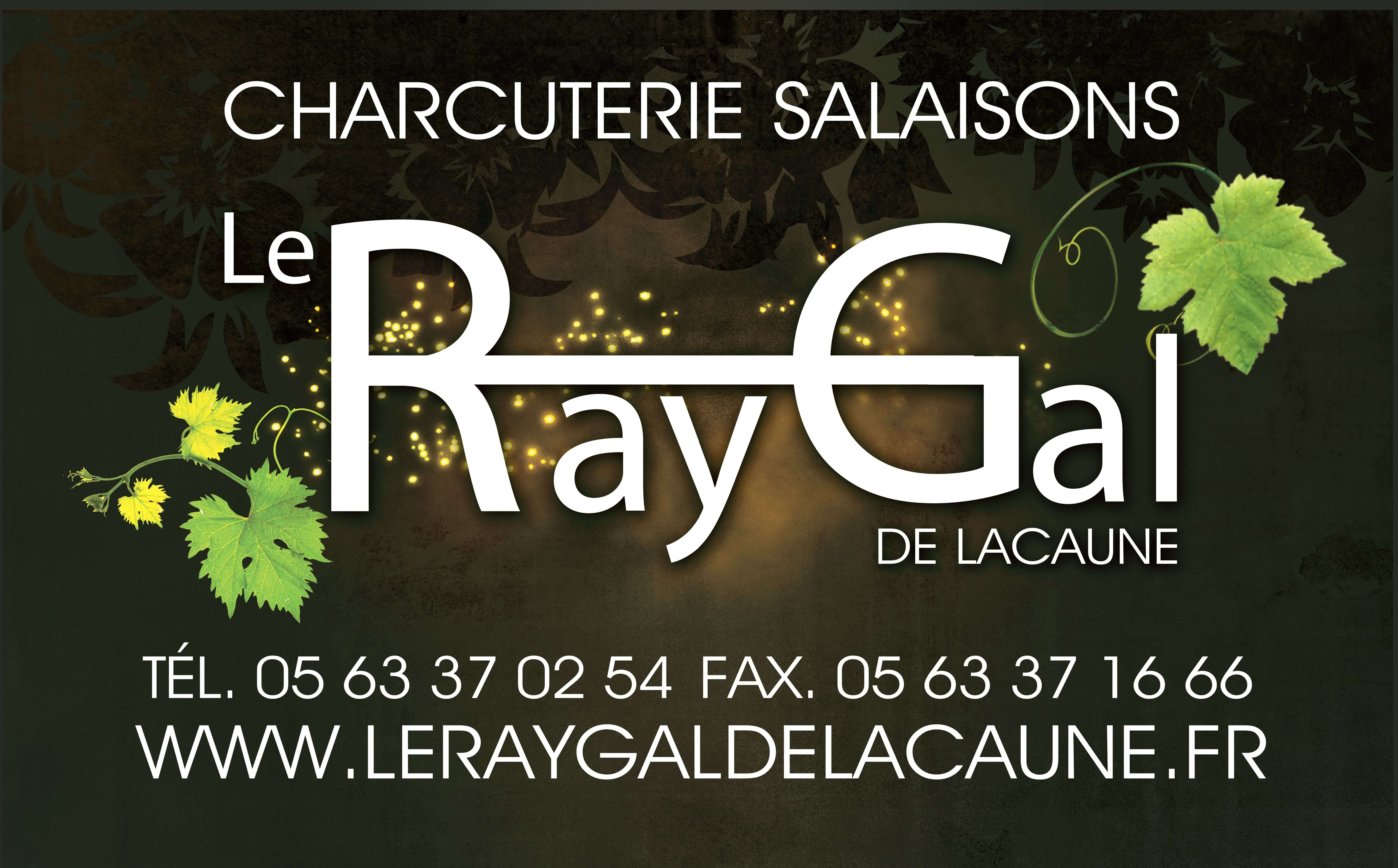 logo fournisseur Ray Gal